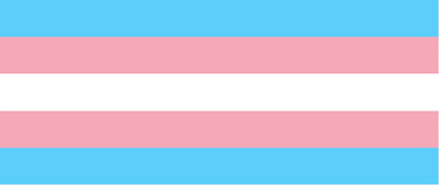 Transgender Day of Visibility | R-bloggers